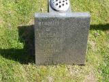 image of grave number 96541